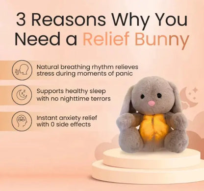 Rabbit Sensory Plush Toy