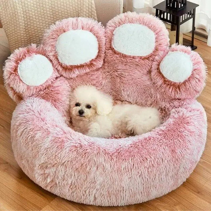 Bear Paw Small Dog Bed