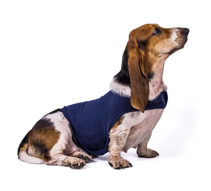 Calm Pet Jacket