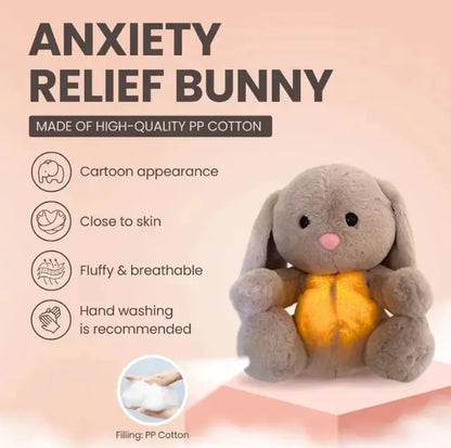 Rabbit Sensory Plush Toy