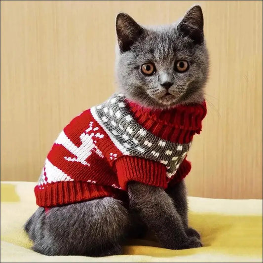 Cute Cat Sweater Costume - Winter Warm Pet Clothes for Cats Sphynx Pullover Cozy Apparel Gatos & Mascotas