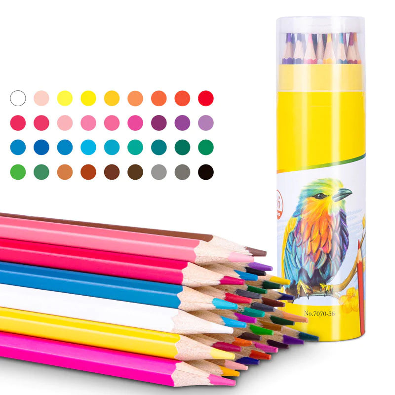 Colored Pencil Set for Kids