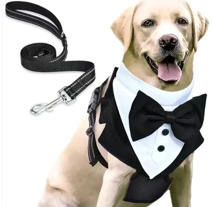 Anti-Break Escape-Proof Pet Harness & Leash Set